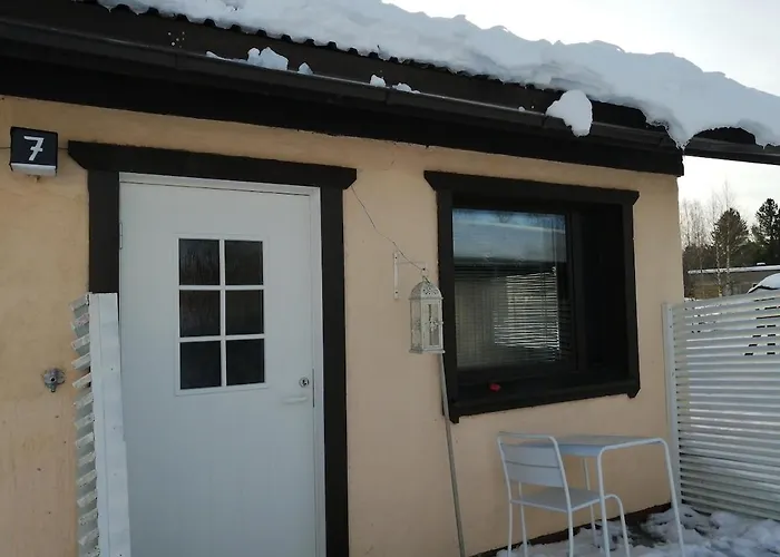 Huone Kahdelle, Oma Sisaeaenkaeynti Ja Pysaekoeinti